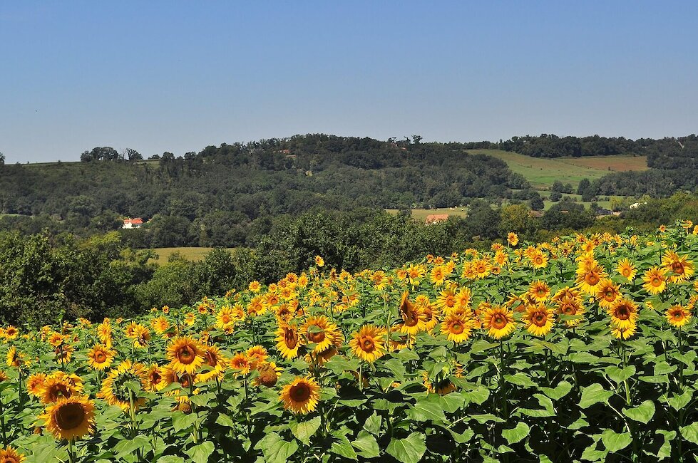 Camping in Nouvelle-Aquitaine