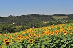 Nouvelle-Aquitaine