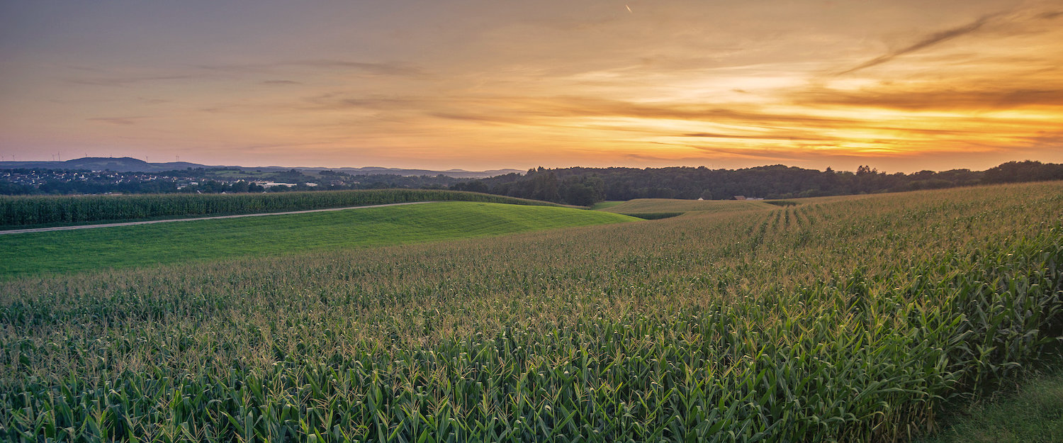 Ferienwohnungen und Ferienhäuser in Weißenstadt