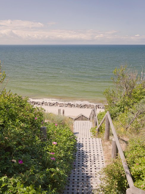 Urlaub mit Hund auf Hiddensee