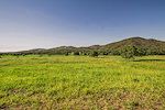 Pirenópolis