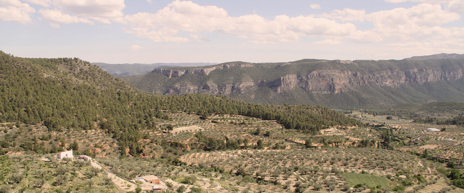 Casas rurales en Yeste