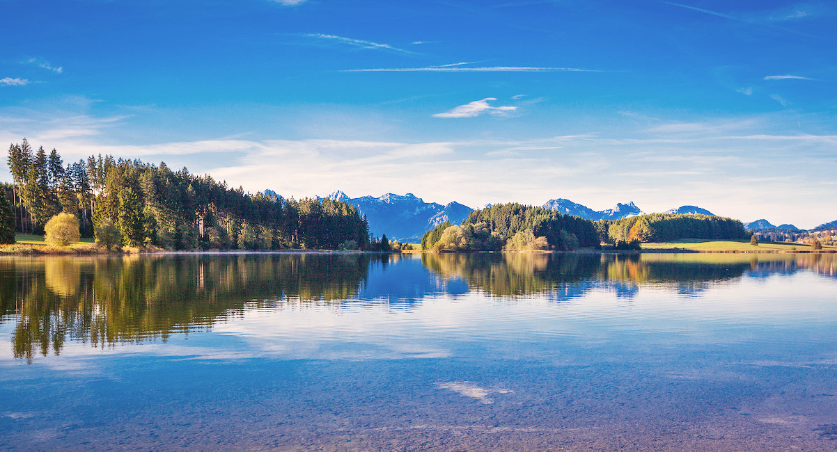 Urlaub mit Hund in Roßhaupten