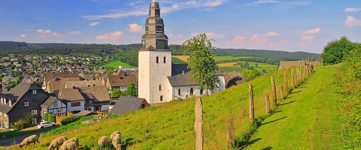 Urlaub mit Hund in Meschede