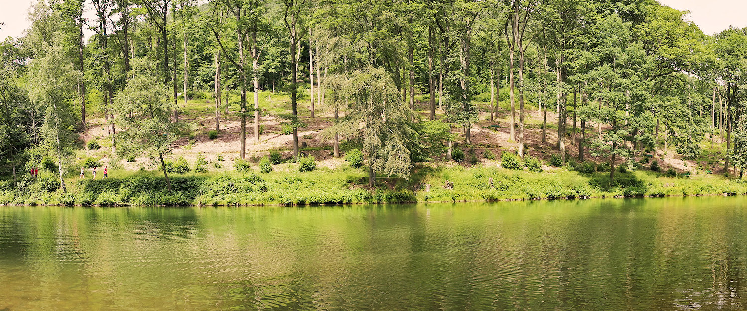 Edenkoben: Ferienhäuser & Ferienwohnungen