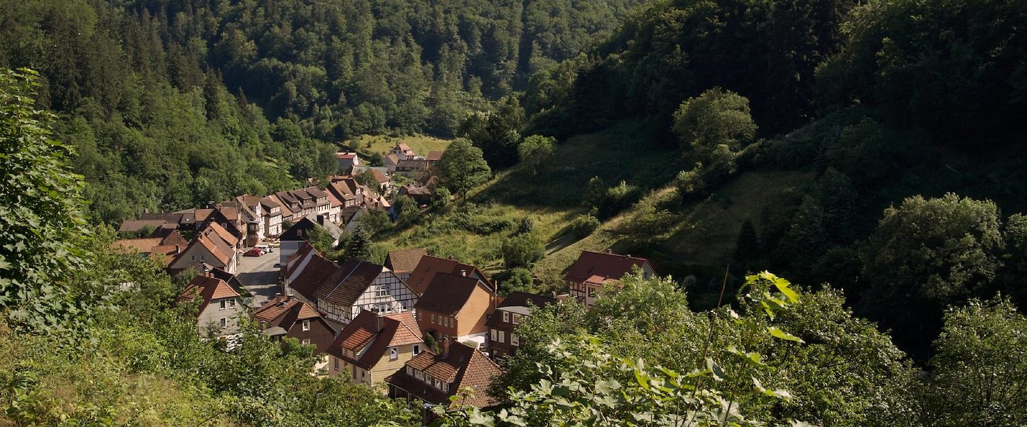 Idyllisches Dorf im Harz Idyllisches Dorf im Harz