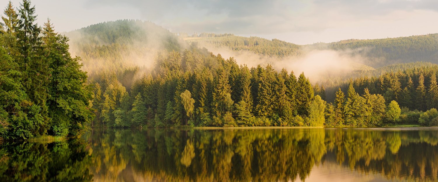 Nationalpark im Harz Nationalpark im Harz