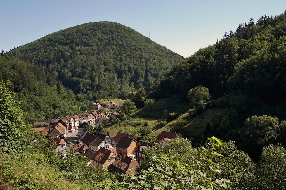 Grün, wohin das Auge reicht Grün, wohin das Auge reicht