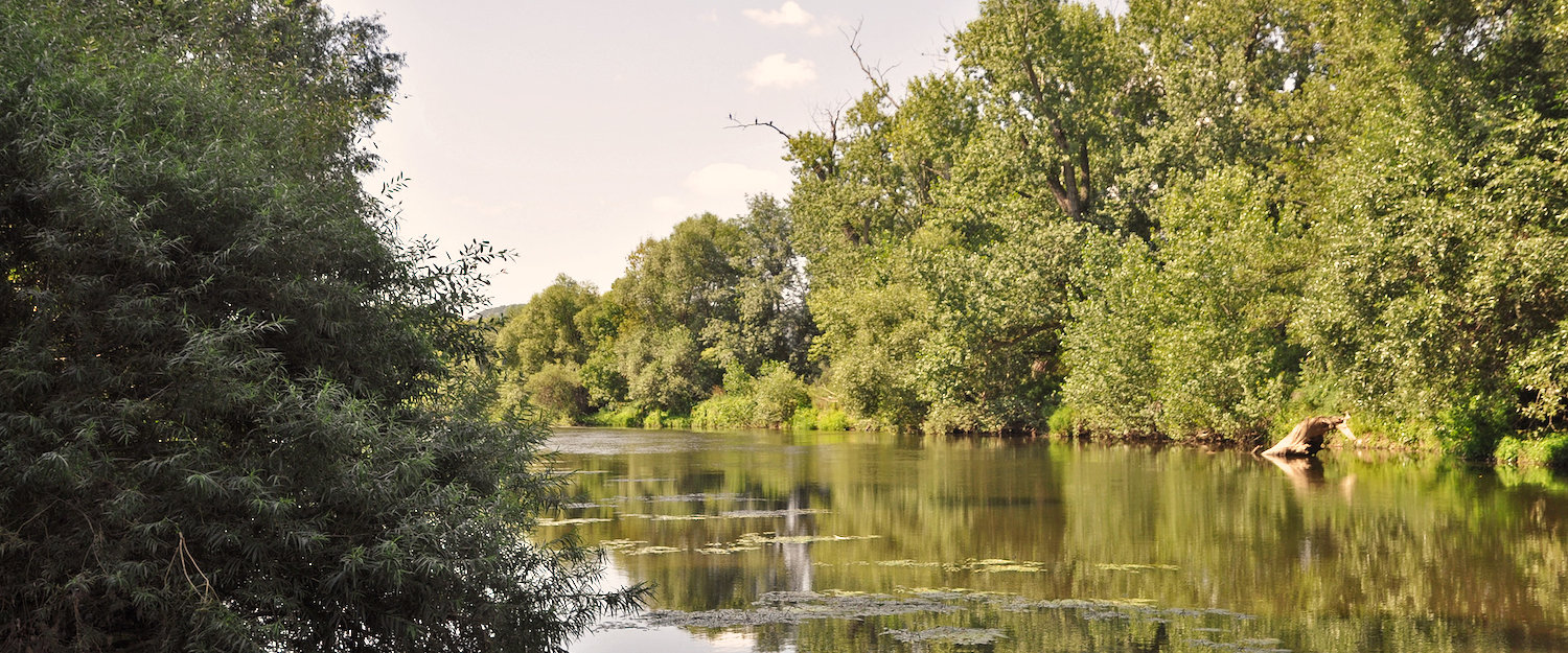 Ferienwohnungen und Ferienhäuser in Bad Sobernheim
