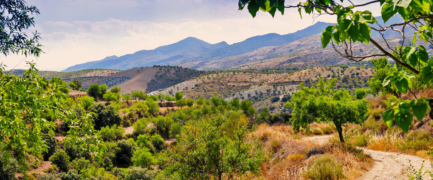 El paisaje de la Alpujarra