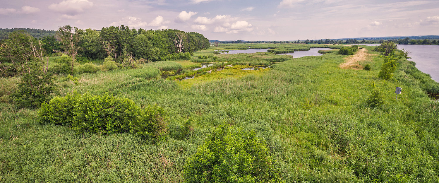 Strausberg: Ferienwohnung & Ferienhaus mit Hund