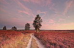 Destination