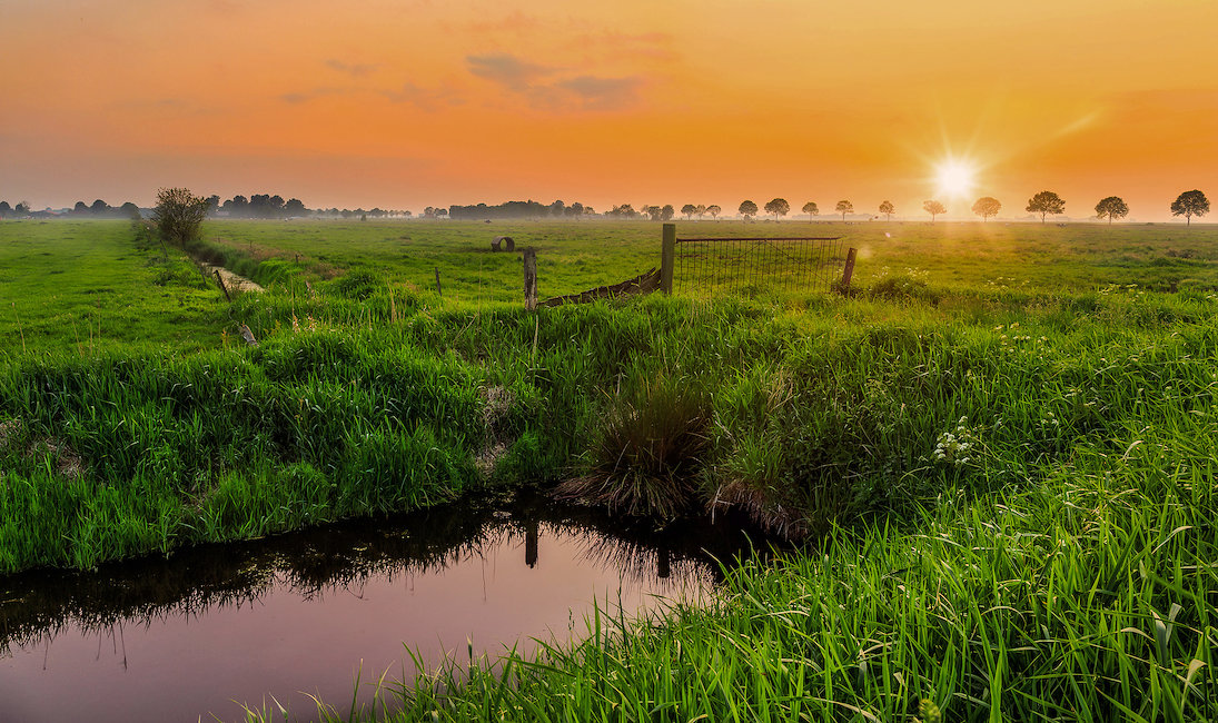 Ferienhäuser & Ferienwohnungen mit WLAN in Weener