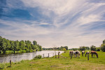 Westerstede
