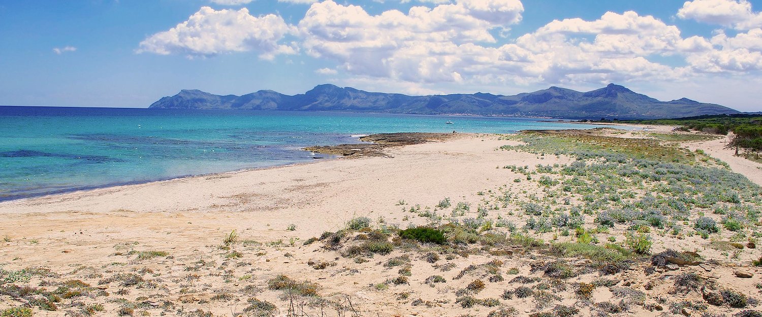 Der wunderschöne, weite Strand von Son Serra de Marina. Der wunderschöne, weite Strand von Son Serra de Marina.