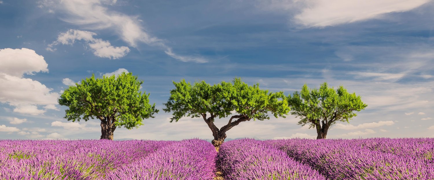 Cottages in Southern France