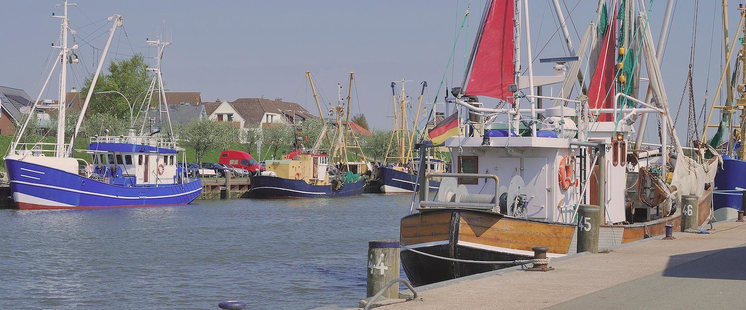 Urlaub mit Hund in Norden