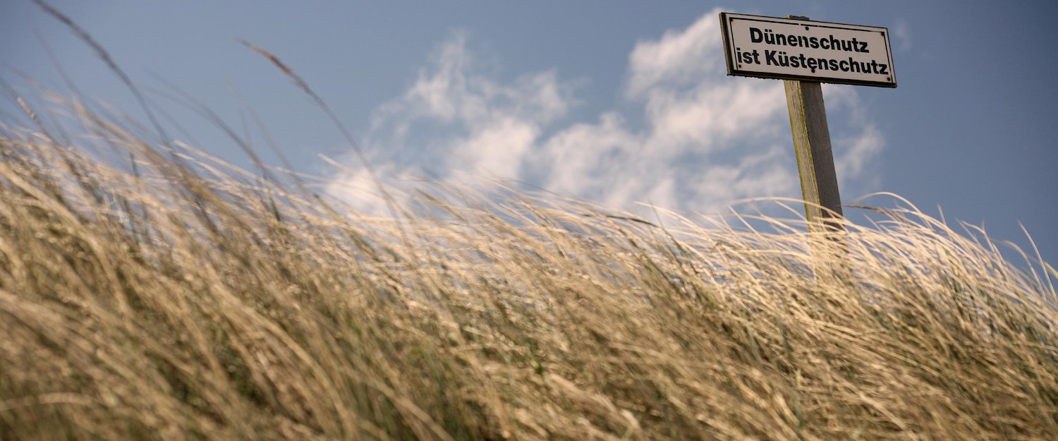 Dühnen an der Nordsee Dühnen an der Nordsee