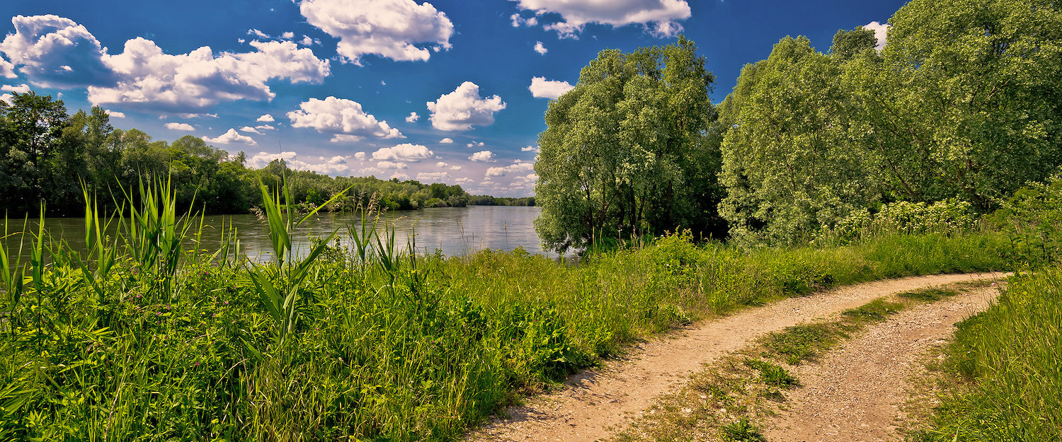 Traumhafte Sommerlandschaft an der Drau Traumhafte Sommerlandschaft an der Drau