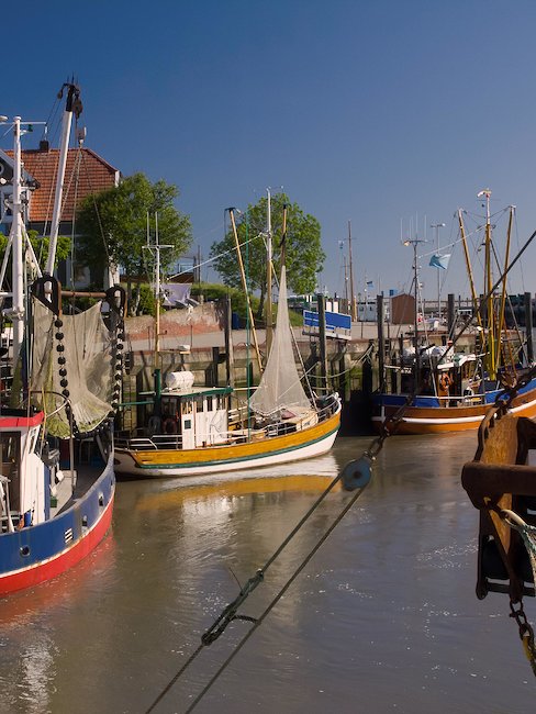 Hafen mit Krabbenboote, Neuharlingersiel
