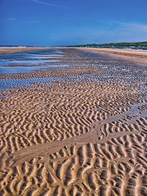 Wattwandern an der Nordsee