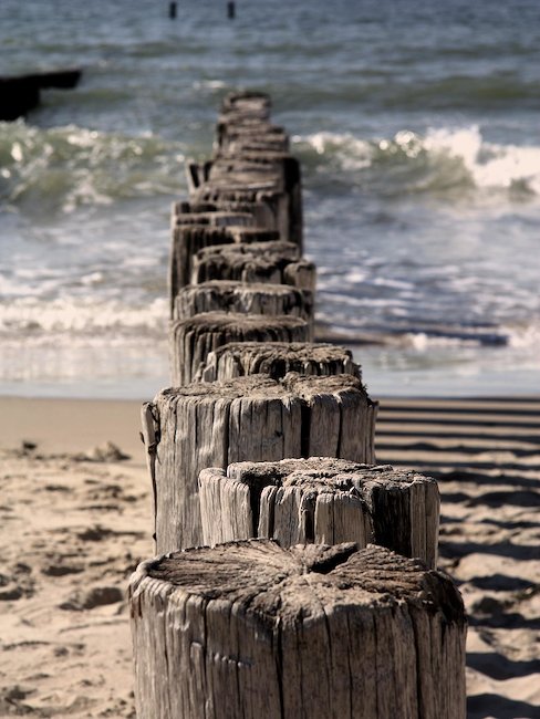 Die für Zeeland typischen Wellenbrecher aus Holzstämmen