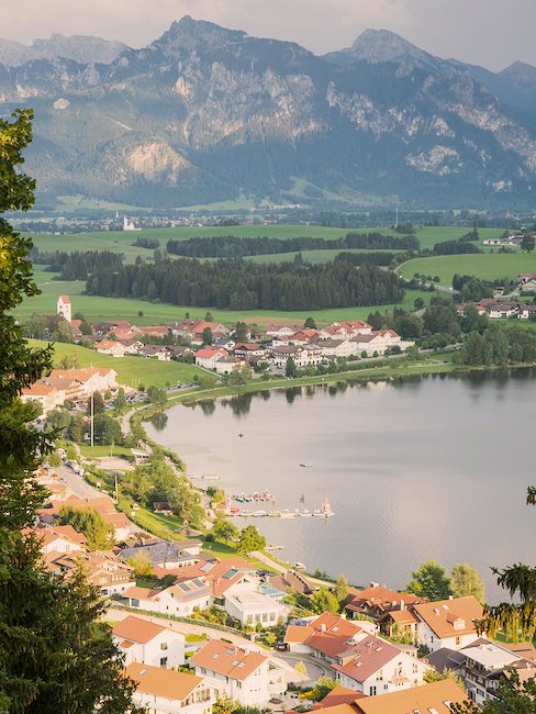 Blick über Hopfen am See
