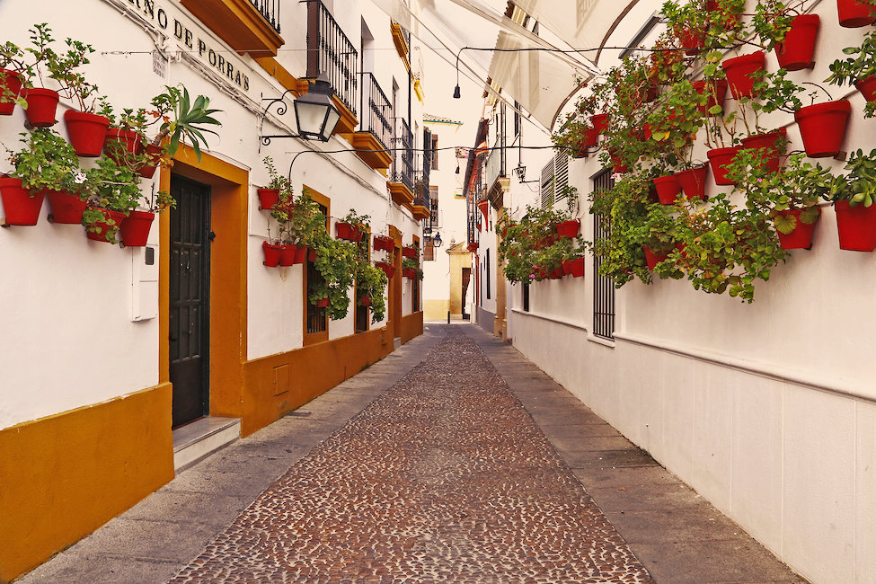 Casas rurales en Montoro 