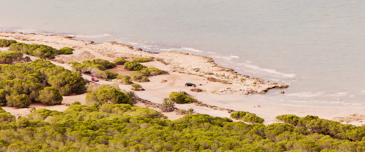 Playa y vegetación de Santa Pola