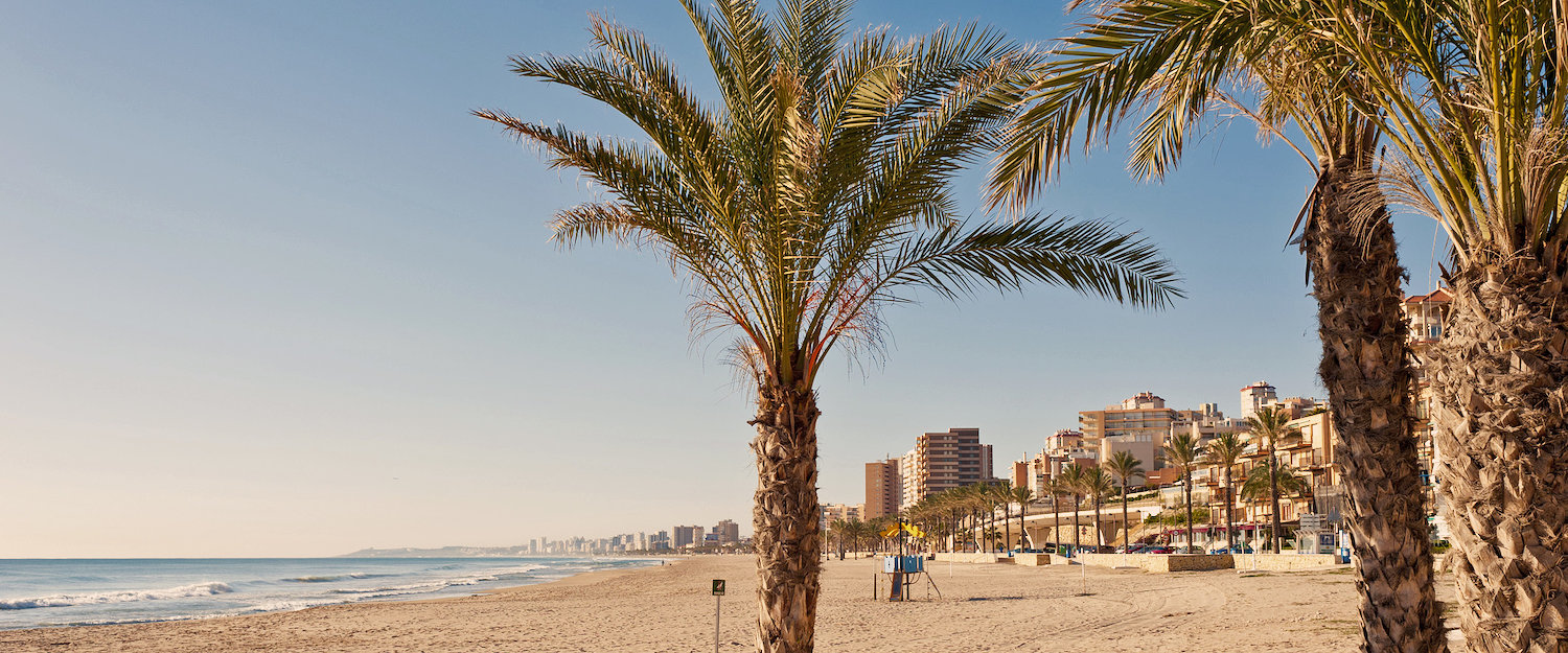 Playa Muchavista en Campello Playa Muchavista en Campello
