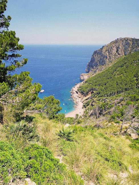 Caletta nascosta tra il verde della natura calabrese.