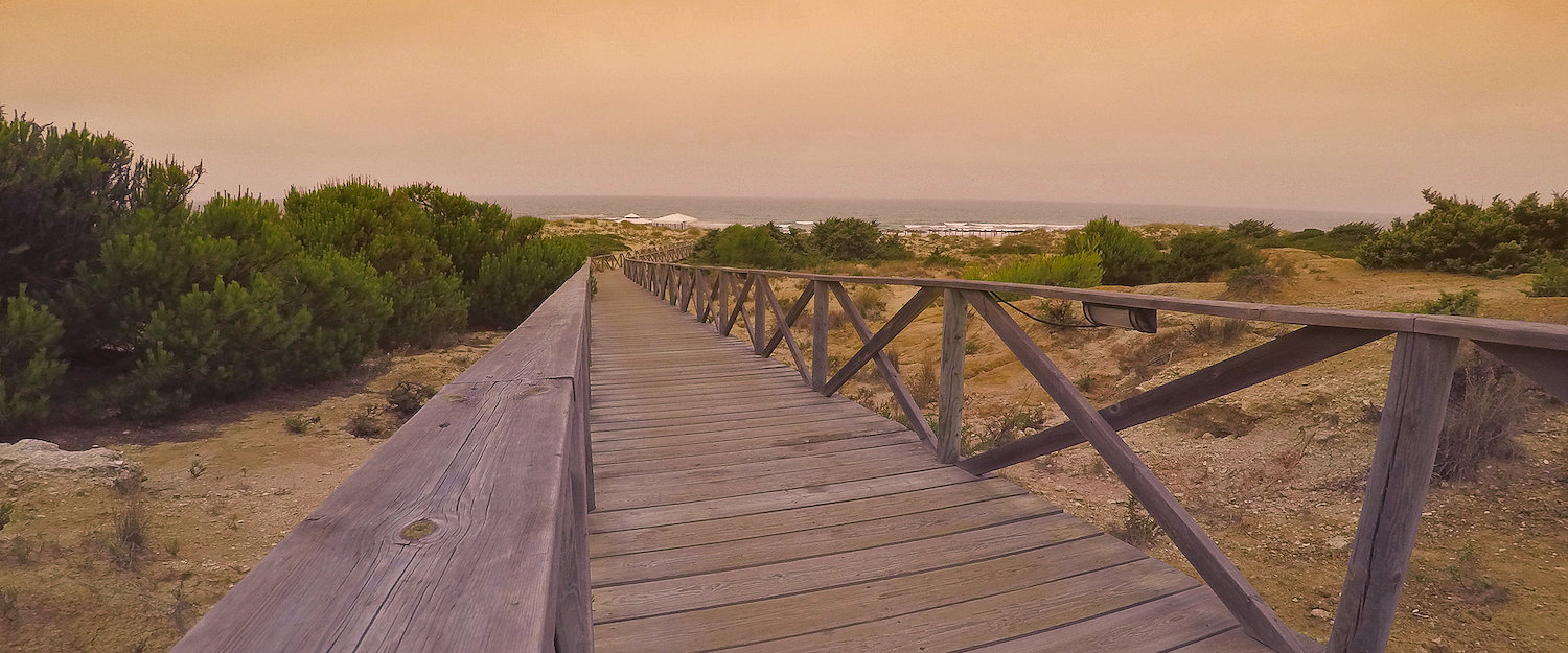 El paseo a la playa