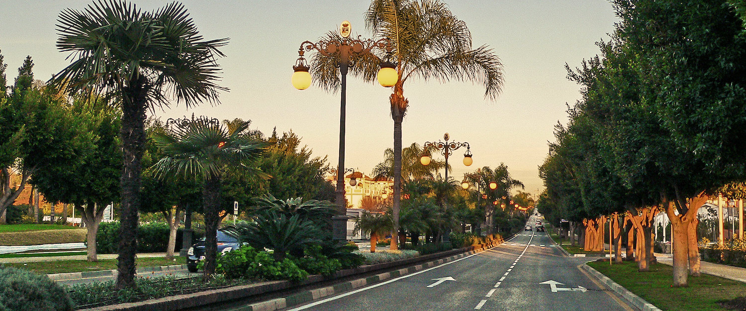 Avenida al atardecer Avenida al atardecer