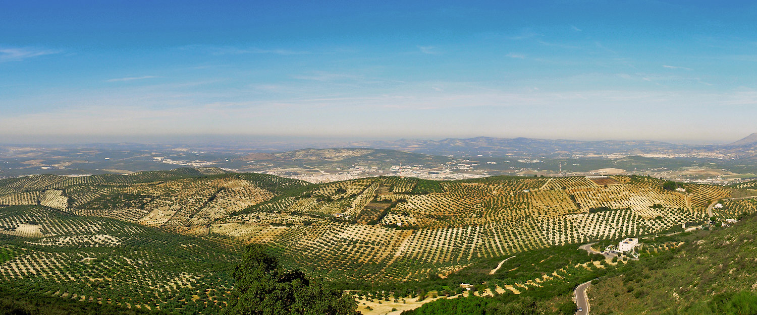 Locations de vacances Lucena