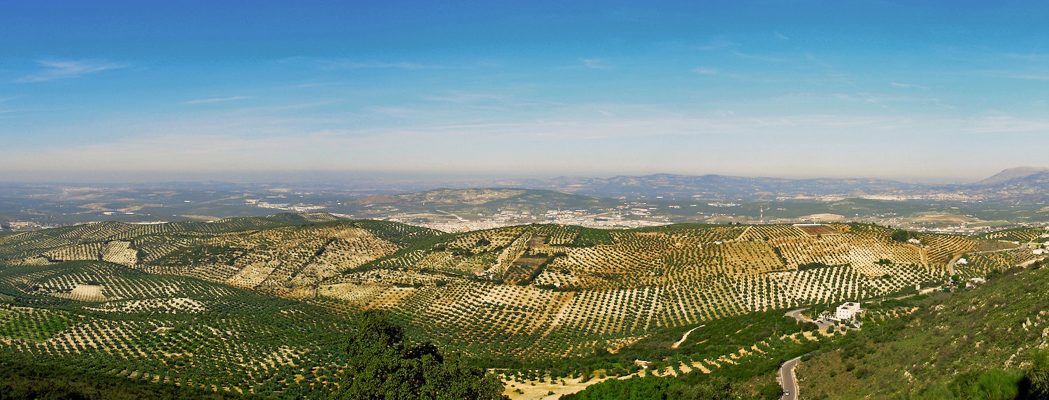 Casas rurales en Lucena