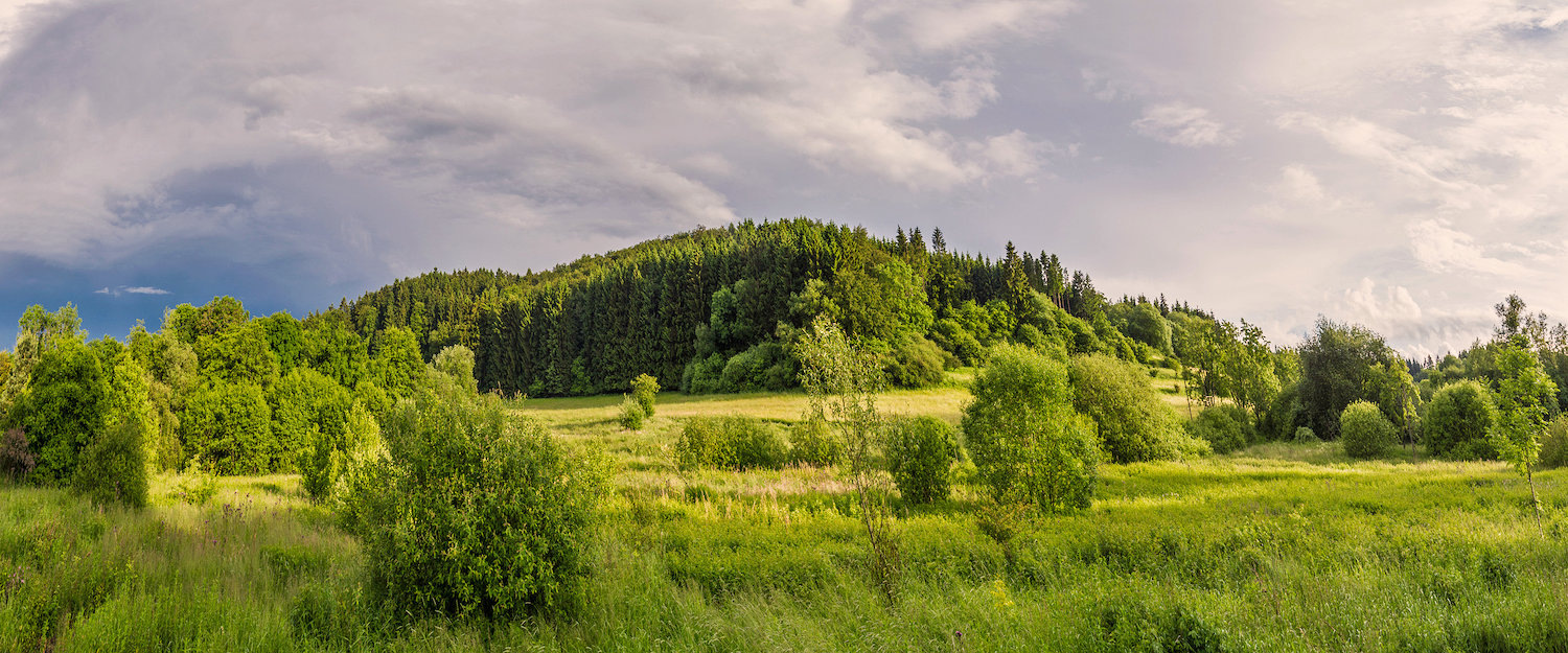 Ferienwohnungen und Ferienhäuser in Fischbach bei Dahn