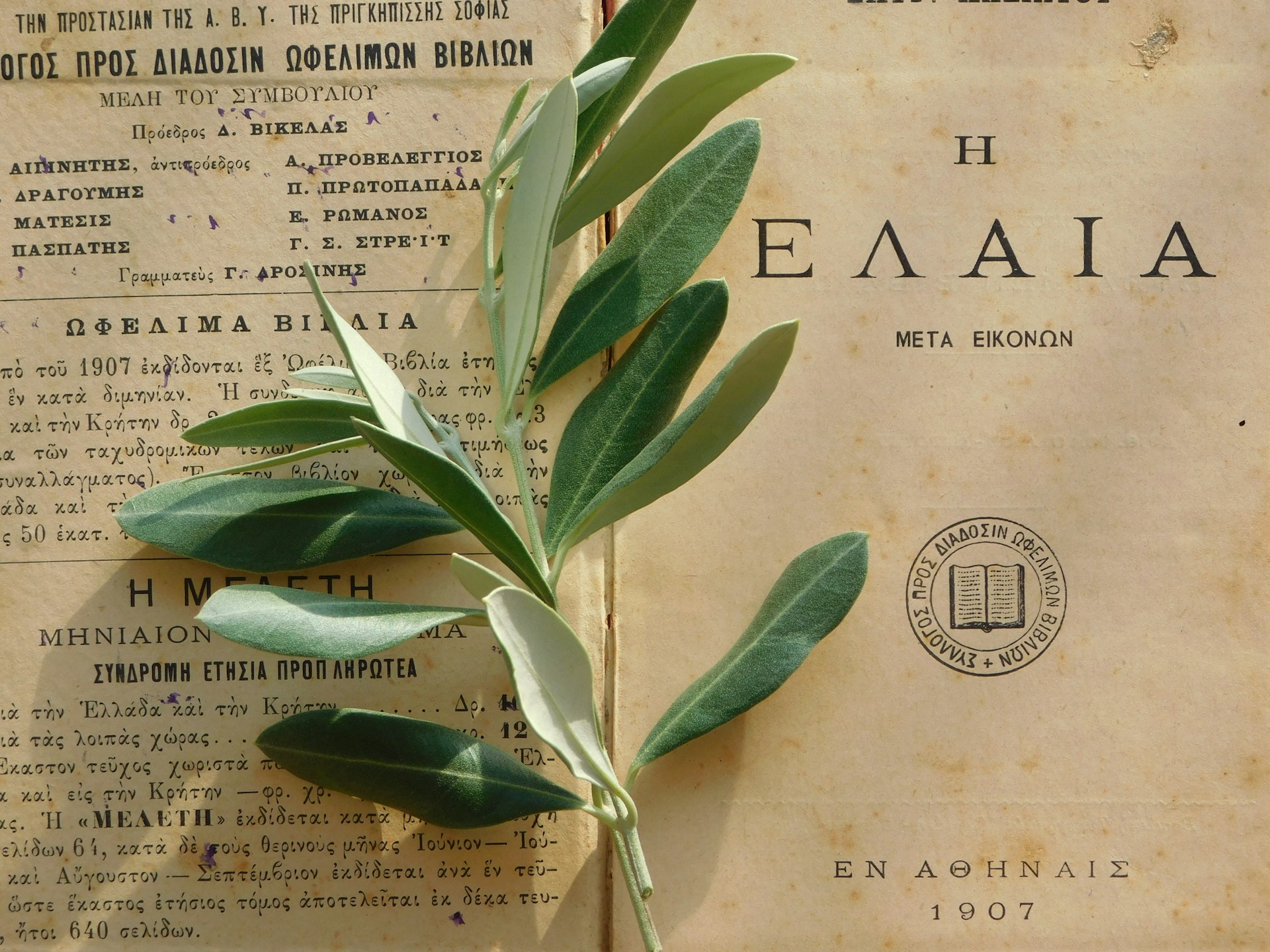 natalie-sym-7GMiiJ0jLsI-unsplash