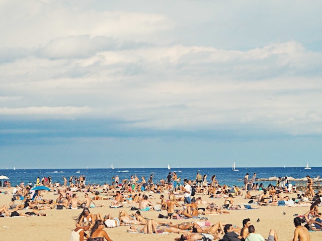 numero-registro-espagne numero-registro-espagne