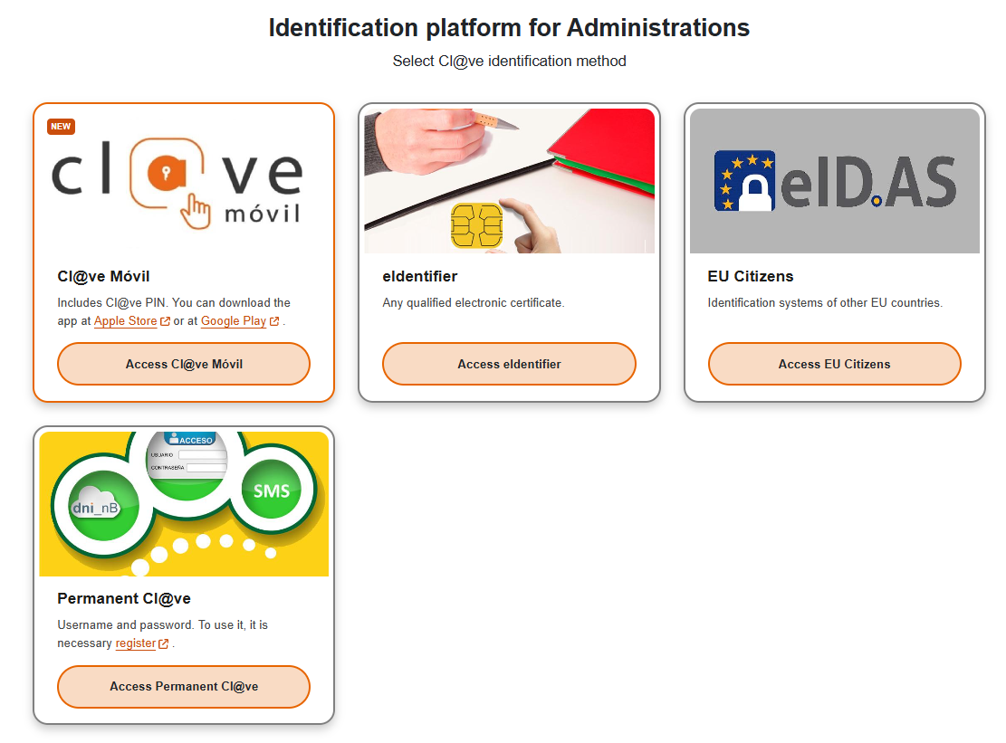 Screenshot of the SES Hospedajes portal log in screen