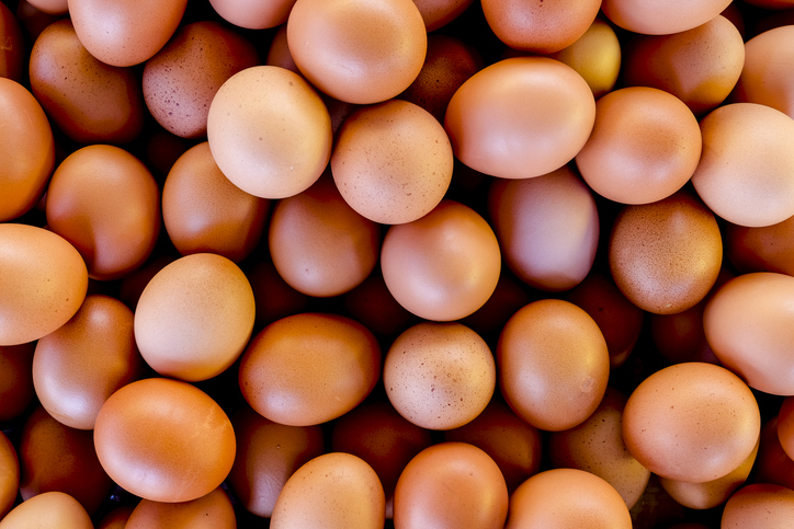 eggs background eggs background