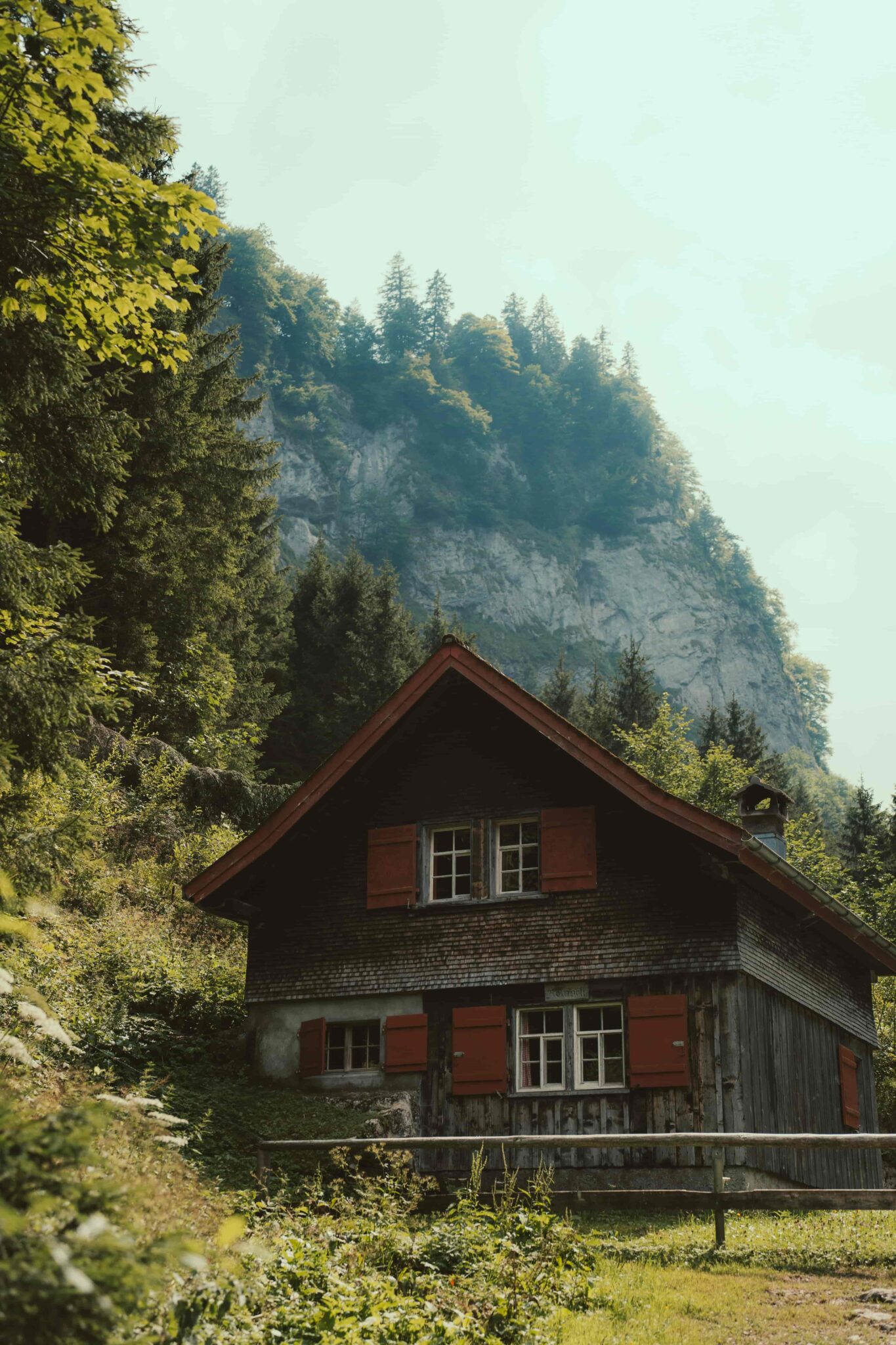 milosz-roman-CbudQGN-XOg-unsplash (1)