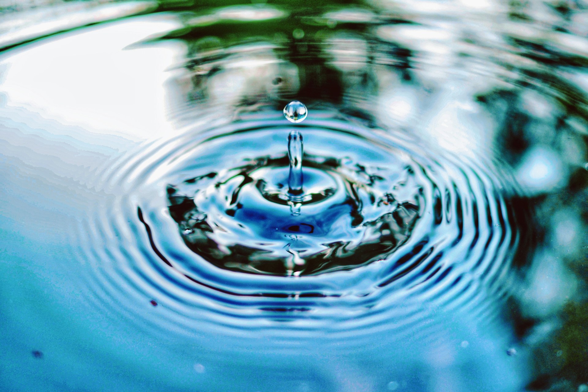 jimmy-chang-NP8gd2KUnfw-unsplash ahorro agua