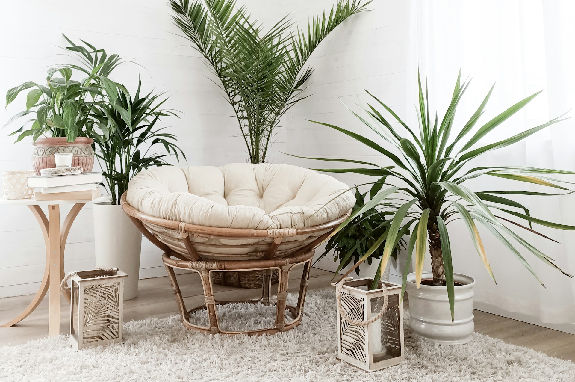 Rattan papasan chair surrounded by tropical plants and a shag rug in a boho chic holiday rental