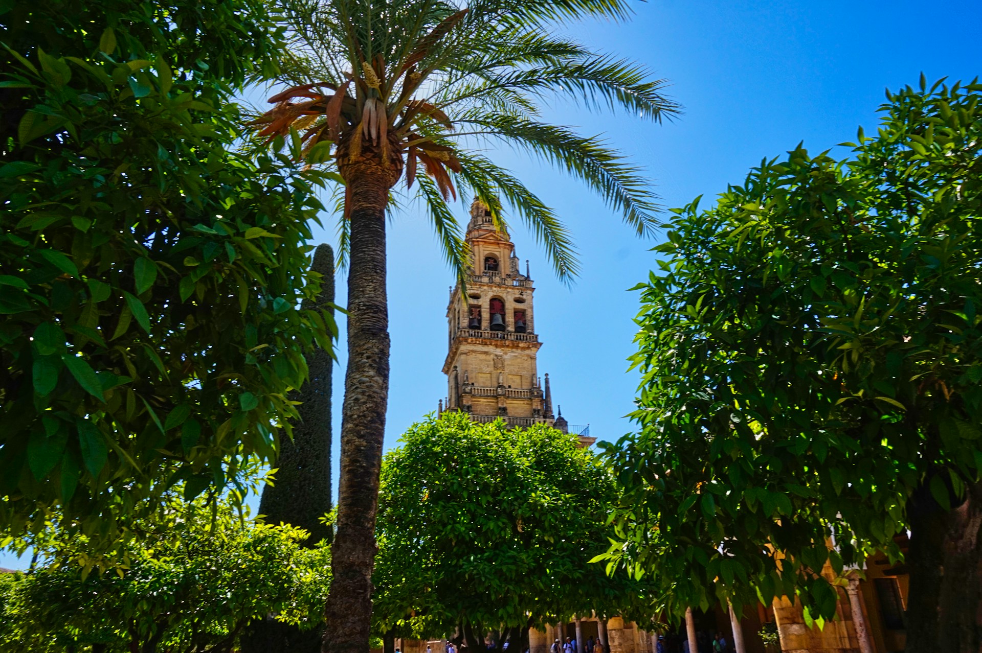christian-hergesell-9Yk4idvttKo-unsplash christian-hergesell-9Yk4idvttKo-unsplash
