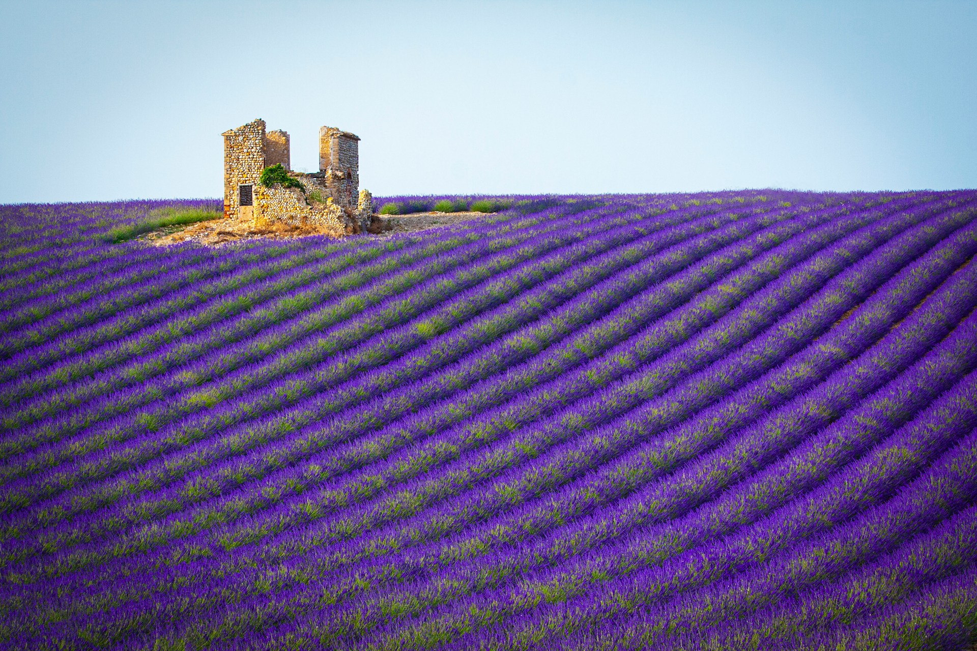 Provence Provence